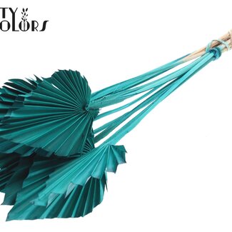 QC Gedroogde Palm Spear | Kleur: Turquoise | Palmbladeren in Speervorm | Lengte ± 50 centimeter | 10 takken per bos | Per bos