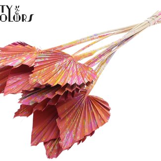 QC Gedroogde Palm Spear | Kleur: Meerkleurig Kerskleurig | Palmbladeren in Speervorm | Lengte ± 50 centimeter | 10 takken per bos | Per bos