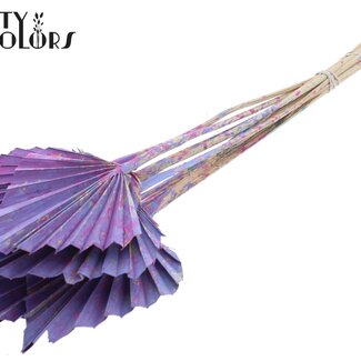 QC Gedroogde Palm Spear | Kleur: Meerkleurig Milkapaars | Palmbladeren in Speervorm | Lengte ± 50 centimeter | 10 takken per bos | Per bos