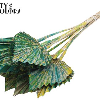 QC Gedroogde Palm Spear | Kleur: Meerkleurig Groen | Palmbladeren in Speervorm | Lengte ± 50 centimeter | 10 takken per bos | Per bos