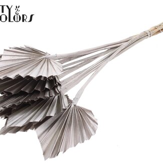 QC Gedroogde Palm Spear | Kleur: Champagnekleurig | Palmbladeren in Speervorm | Lengte ± 50 centimeter | 10 takken per bos | Per bos