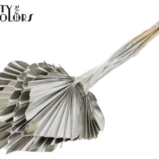 QC Gedroogde Palm Spear | Kleur: Platinakleurig | Palmbladeren in Speervorm | Lengte ± 50 centimeter | 10 takken per bos | Per bos