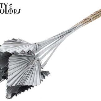 QC Gedroogde Palm Spear | Kleur: Zilverkleurig | Palmbladeren in Speervorm | Lengte ± 50 centimeter | 10 takken per bos | Per bos