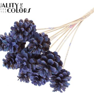 QC Dennenappel op stok | Kleur: Meerkleurig Lichtblauw | Diameter 5 - 7 centimeter | Lengte ± 50 centimeter | 10 bijstekers per bos