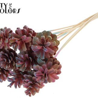 QC Dennenappel op stok | Kleur: Gradiënt Roze | Diameter 5 - 7 centimeter | Lengte ± 50 centimeter | 10 bijstekers per bos