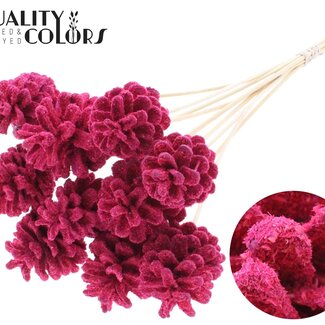 QC Pine cone on stick | Colour: Sawdust Cherry Colour | Diameter 5 - 7 centimetres | Length ± 50 centimetres | 10 picks per bunch