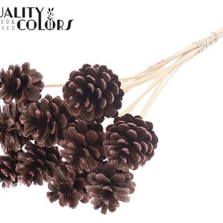 QC Dennenappel op stok | Kleur: Bruin met Metallic Rood Gepunt | Diameter 5 - 7 centimeter | Lengte ± 50 centimeter | 10 bijstekers per bos