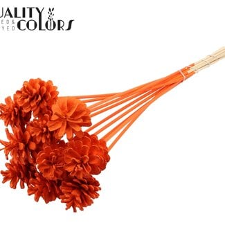 QC Dennenappel op stok | Kleur: Oranje | Diameter 5 - 7 centimeter | Lengte ± 50 centimeter | 10 bijstekers per bos