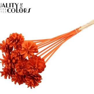 QC Pine cone on stick | Colour: Orange | Diameter 5 - 7 centimetre | Length ± 50 centimetre | 10 picks per bunch