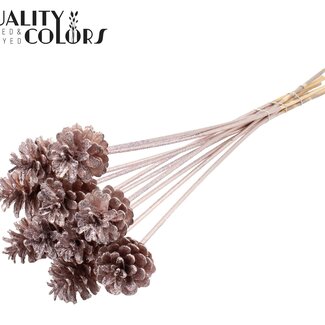 QC Dennenappel op stok | Kleur: Champagnekleurig met Glitter | Diameter 5 - 7 centimeter | Lengte ± 50 centimeter | 10 bijstekers per bos