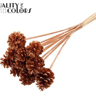 QC Pine cone on stick | Colour: Copper with Glitter | Diameter 5 - 7 centimetres | Length ± 50 centimetres | 10 picks per bunch