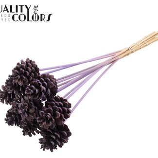 QC Dennenappel op stok | Kleur: Frosted Milkapaars | Diameter 5 - 7 centimeter | Lengte ± 50 centimeter | 10 bijstekers per bos