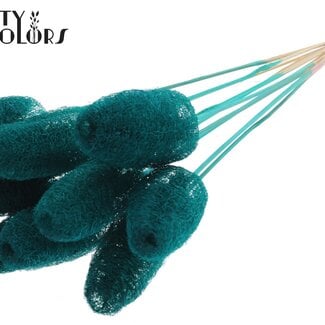 QC Mini Luffa Spons op stok | Kleur: Turquoise | Loofah Bijsteker | Lengte ± 50 centimeter | 10 bijstekers per bos