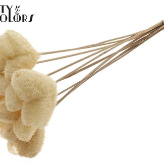 QC Luffa Heart Sponge on Stick | Colour: Natural White | Loofah Stick | Length ± 50 centimetres | 10 sticks per bunch