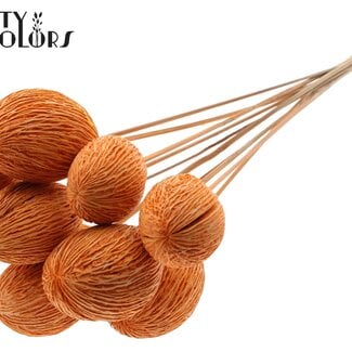 QC Gebleekte Mintolla Zaaddoos op stok | Kleur: Oranje | Pong Pong Mintolla Bijsteker Droogdecoratie | Lengte ± 50 centimeter | 10 bijstekers per bos