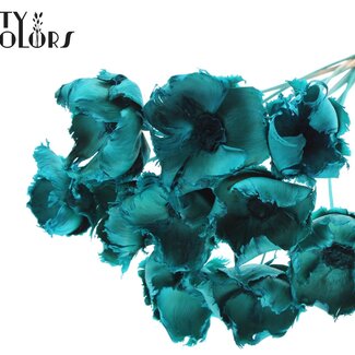QC Dried Bleached Palm Cup on stem | Colour: Turquoise | Length ± 50 centimetres | 10 stems per bunch