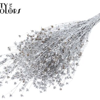 QC Dried Lino Flax | Colour: Silver | Linum Dried Flowers | Length ± 50 centimetres | Weight 150 grams | Per bunch