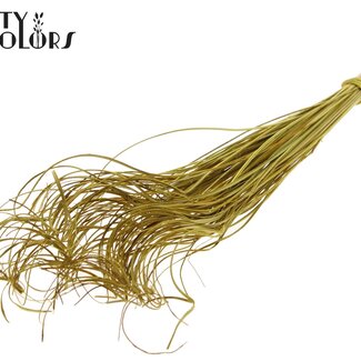 QC Dried Palm Leaf Vein | Curly Ting Ting | Colour: Yellow | Length ± 70 centimetres | 100 stems per bunch | Per bunch