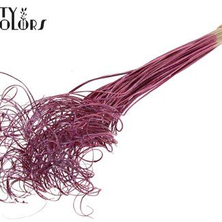 QC Dried Palm Leaf Rib | Curly Ting Ting | Colour: Metallic Pink | Length ± 70 centimetres | 100 stems per bunch | Per bunch