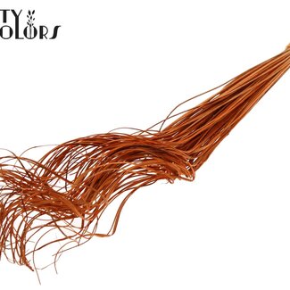 QC Dried Palm Leaf Vein | Curly Ting Ting | Colour: Orange | Length ± 70 centimetres | 100 stems per bunch | Per bunch