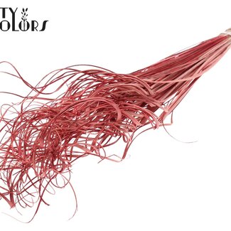 QC Dried Palm Leaf Vein | Curly Ting Ting | Colour: Red | Length ± 70 centimetres | 100 stems per bunch | Per bunch