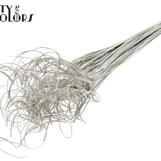 QC Dried Palm Leaf Vein | Curly Ting Ting | Colour: Platinum | Length ± 70 centimetres | 100 stems per bunch | Per bunch