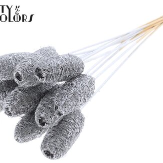 QC Mini Loofah Sponge on stick | Colour: Silver | Loofah Plant Stake | Length ± 50 centimetres | 10 stakes per bunch