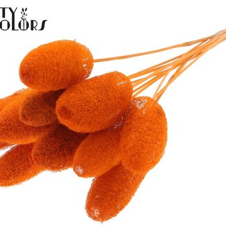 QC Mini Loofah Sponge on stick | Colour: Orange | Loofah Stick | Length ± 50 centimetres | 10 sticks per bunch