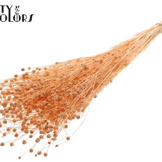 QC Gedroogd Gebleekt Lino Vlas | Kleur: Frosted Zalmkleurig | Linum Droogbloemen | Lengte ± 70 centimeter | Gewicht 100 gram | Per bos
