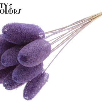 QC Mini Loofah Sponge on stick | Colour: Milka Purple | Loofah Stick | Length ± 50 centimetres | 10 sticks per bunch