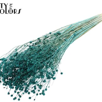 QC Gedroogd Gebleekt Lino Vlas | Kleur: Turquoise | Linum Droogbloemen | Lengte ± 70 centimeter | Gewicht 100 gram | Per bos