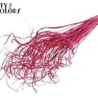 QC Dried Palm Leaf Vein | Curly Ting Ting | Colour: Cherry-coloured | Length ± 70 centimetres | 100 stems per bunch | Per bunch