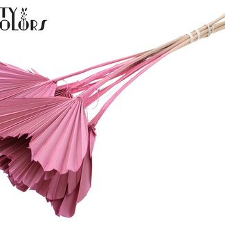 QC Dried Palm Spear Heart | Colour: Frosted Light Pink | Heart-Shaped Palm Leaves | Length ± 45 centimetres | 10 stems per bunch | Per bunch