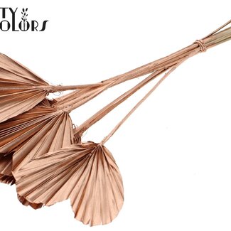 QC Gedroogde Palm Spear Heart | Kleur: Koperkleurig | Palmbladeren in Hartvorm | Lengte ± 45 centimeter | 10 takken per bos | Per bos