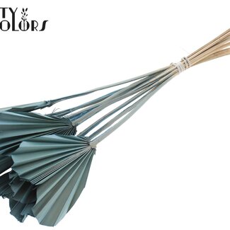 QC Gedroogde Palm Spear Heart | Kleur: Frosted Lichtblauw | Palmbladeren in Hartvorm | Lengte ± 45 centimeter | 10 takken per bos | Per bos