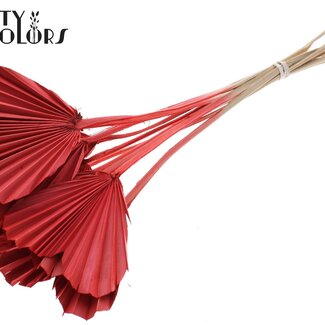QC Gedroogde Palm Spear Heart | Kleur: Koraalkleurig | Palmbladeren in Hartvorm | Lengte ± 45 centimeter | 10 takken per bos | Per bos