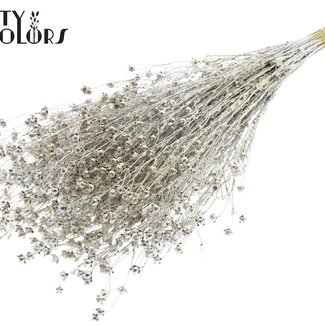 QC Getrockneter Lino Flachs | Farbe: Platinfarben mit Glitzer | Linum Trockenblumen | Länge ± 50 Zentimeter | Gewicht 150 Gramm | Pro Bund