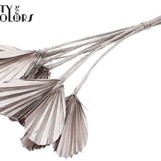 QC Gedroogde Palm Spear Heart | Kleur: Champagnekleurig | Palmbladeren in Hartvorm | Lengte ± 45 centimeter | 10 takken per bos | Per bos