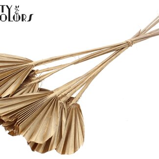 QC Dried Palm Spear Heart | Colour: Antique Gold | Heart-Shaped Palm Leaves | Length ± 45 centimetres | 10 stems per bunch | Per bunch