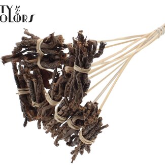 QC Decorative Coco Rose Posy on Stick | Colour: Natural Brown | Coco Rose Posy Stick | Stick Length ± 50 centimetres | 10 sticks per bunch