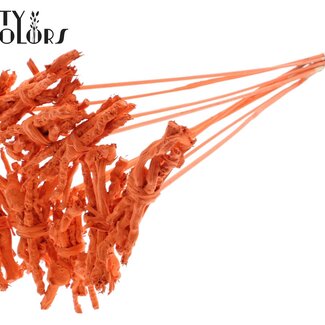 QC Decoratieve Coco Rose Boeketje op stok | Kleur: Oranje | Coco Rose Posy Bijsteker | Lengte bijsteker ± 50 centimeter | 10 bijstekers per bos
