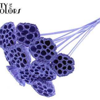 QC Dried Lotus Pods on Stick | Colour: Milka Purple | Lotus Diameter 5 - 7 centimetres | Stick Length ± 50 centimetres | 10 sticks per bunch