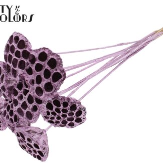QC Dried Lotus Pods on Stick | Colour: Pink Metallic | Lotus Diameter 5 - 7 centimetres | Stick Length ± 50 centimetres | 10 sticks per bunch