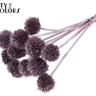 QC Lion's Tail on Stem | Colour: Metallic Pink | Leonotis Leonurus Stem Decoration | Length ± 50 centimetres | 10 stem decorations per bunch | Per bunch