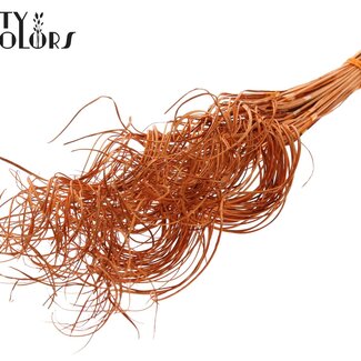 QC Dried Palm Leaf Vein | Curly Ting Ting | Colour: Orange | Length ± 70 centimetres | 3 twigs per bunch | 33 bunches per bouquet | Per bouquet