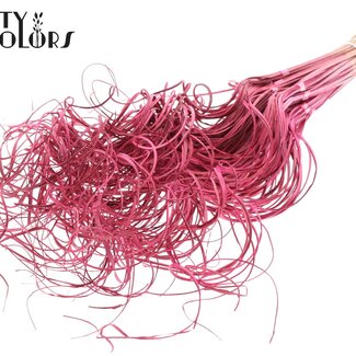 QC Dried Palm Leaf Vein | Curly Ting Ting | Colour: Cherry-Coloured | Length ± 70 centimetres | 3 sprigs per tuft | 33 tufts per bunch | Per bunch