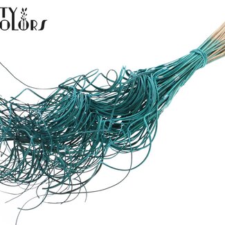 QC Dried Palm Leaf Vein | Curly Ting Ting | Colour: Turquoise | Length ± 70 centimetres | 3 sprigs per bunch | 33 bunches per bouquet | Per bouquet