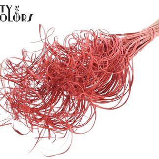QC Dried Palm Leaf Vein | Curly Ting Ting | Colour: Coral | Length ± 70 centimetres | 3 sprigs per bunch | 33 bunches per bundle | Per bundle