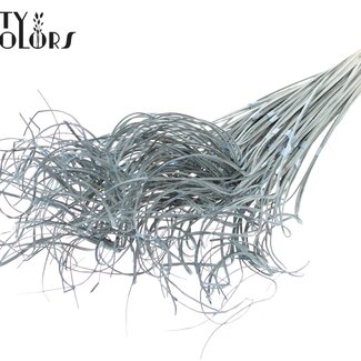 QC Dried Palm Leaf Vein | Curly Ting Ting | Colour: Frosted Light Blue | Length ± 70 centimetres | 3 sprigs per bunch | 33 bunches per bundle | Per bundle