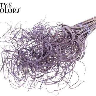 QC Dried Palm Leaf Vein | Curly Ting Ting | Colour: Frosted Milkapurple | Length ± 70 centimetres | 3 sprigs per bunch | 33 bunches per bouquet | Per bouquet